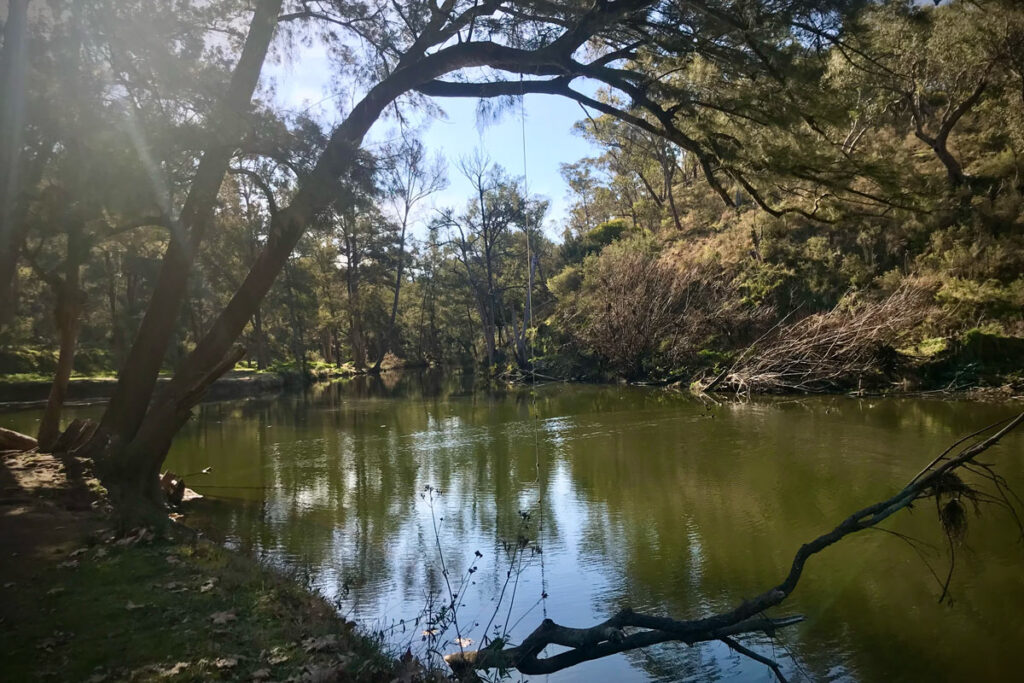 Lewis Ponds and Summer Hill Creeks Meet